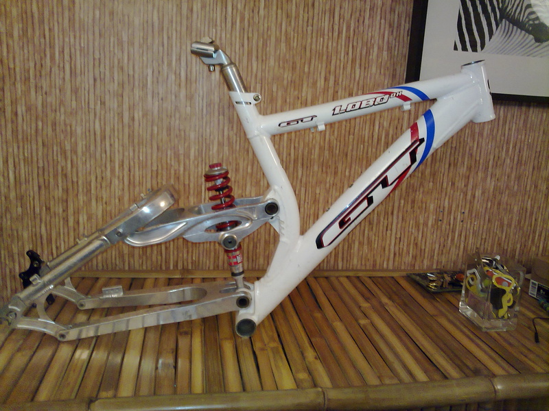 GTロボ1000DH （GT Bicycles Fan Club - Happy Throwback Thursday 