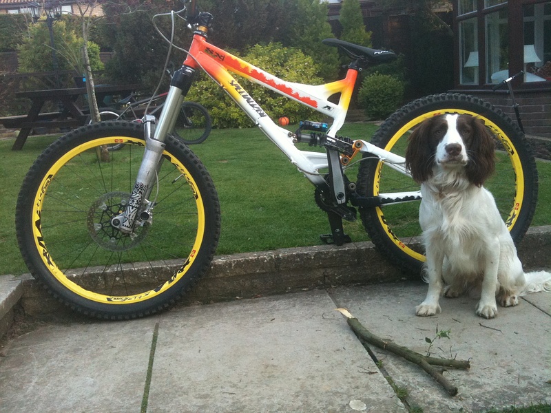 new sx trail 2, totem dual solo's , fsa sealed, funn saddle.  soo happy :D    ohh and bobby my dog