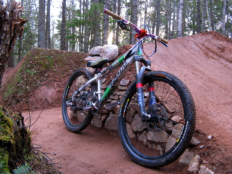 custom dirt jump bikes