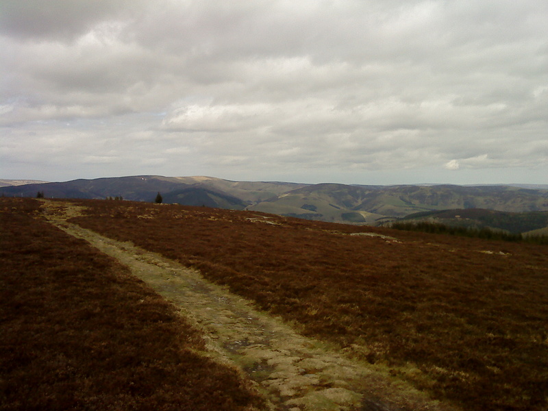 top of inners XC route (great trail)