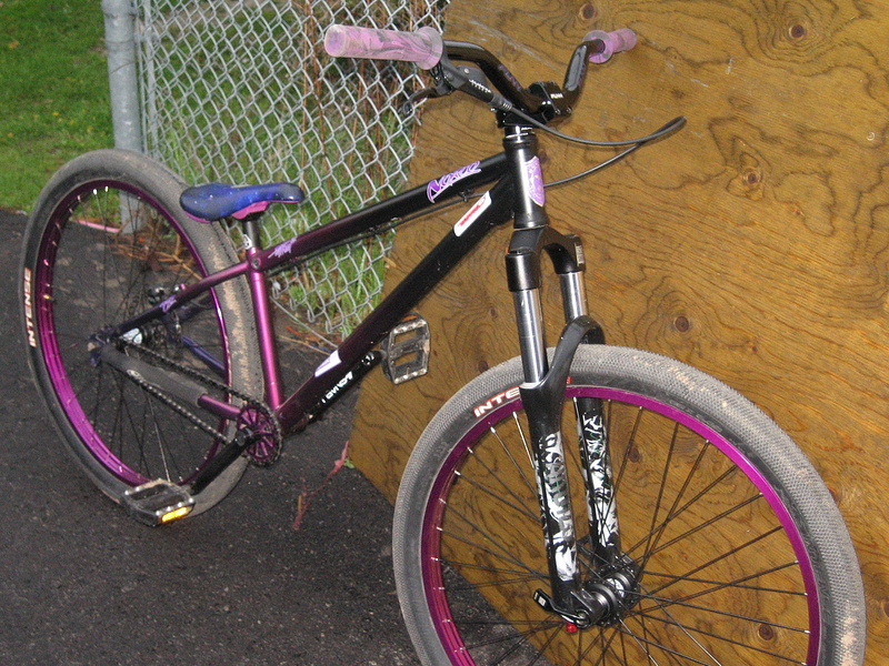 2010 Norco 250