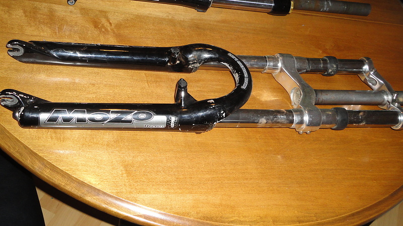 mozo forks