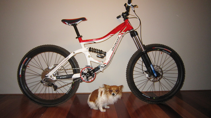 specialized big hit 2 2009