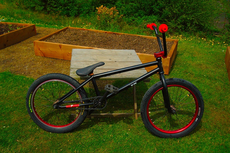Wtp trust 2010, New tires grips and seat clamp.