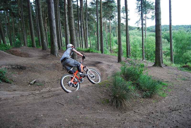 Delamere Forrest jumps and DH/Freeride