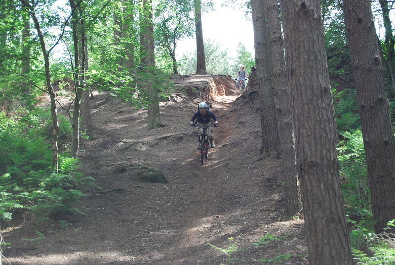 Delamere Forrest jumps and DH/Freeride