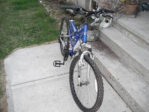 dyno dart mountain bike price