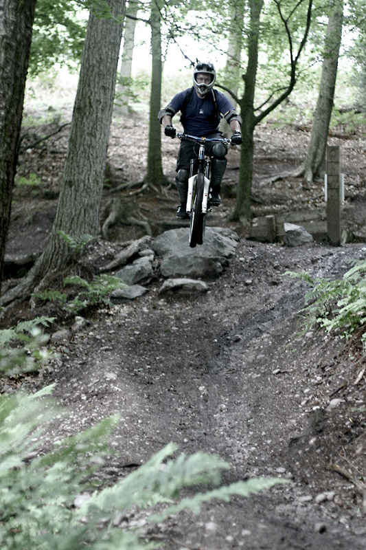 Some photos I took of my riding buddies at Cannock Chase.