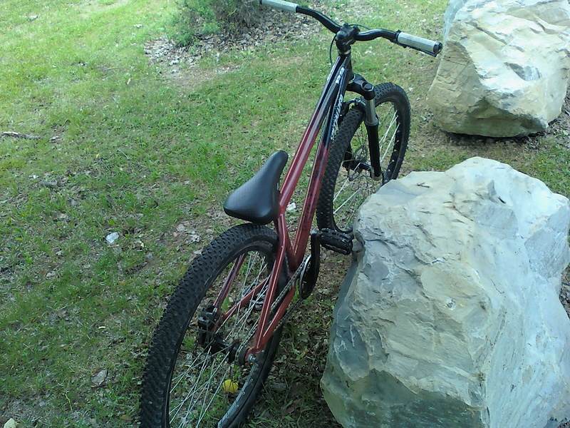 the bike from the  bak