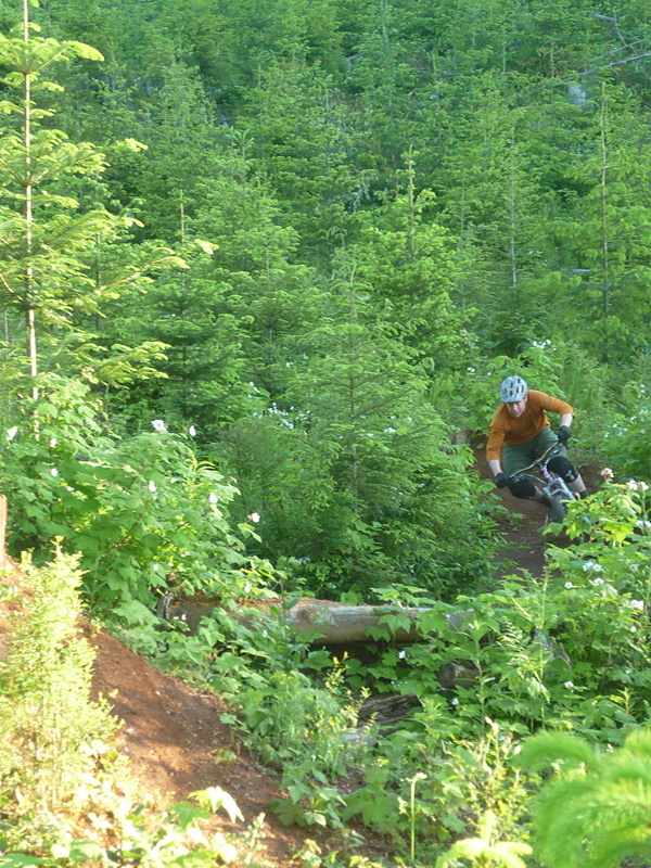 berm