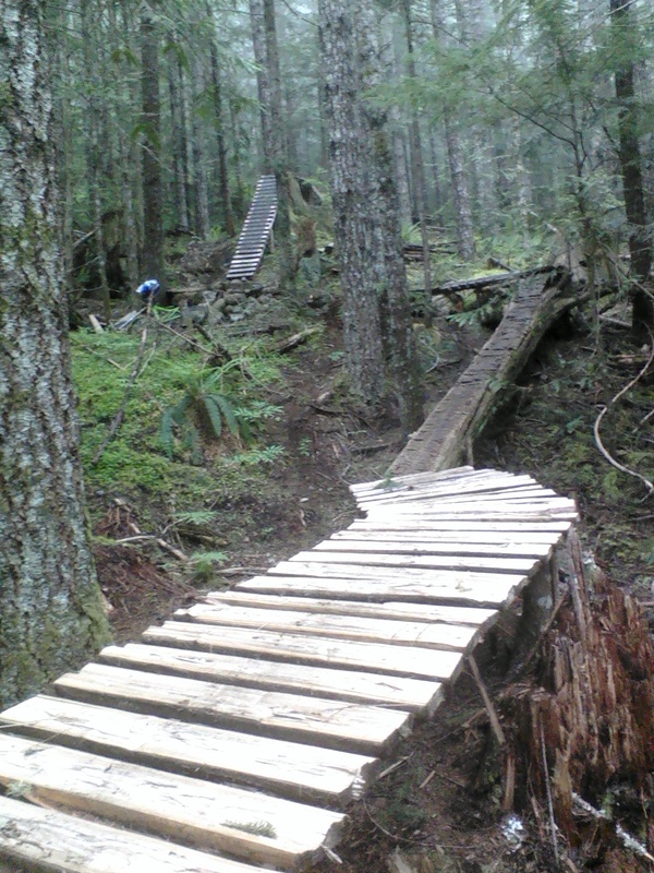 Just a section of one of the many epic trails in Squamish