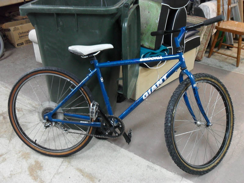 Old best sale giant bike