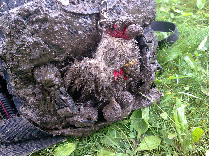 dirty Chicken