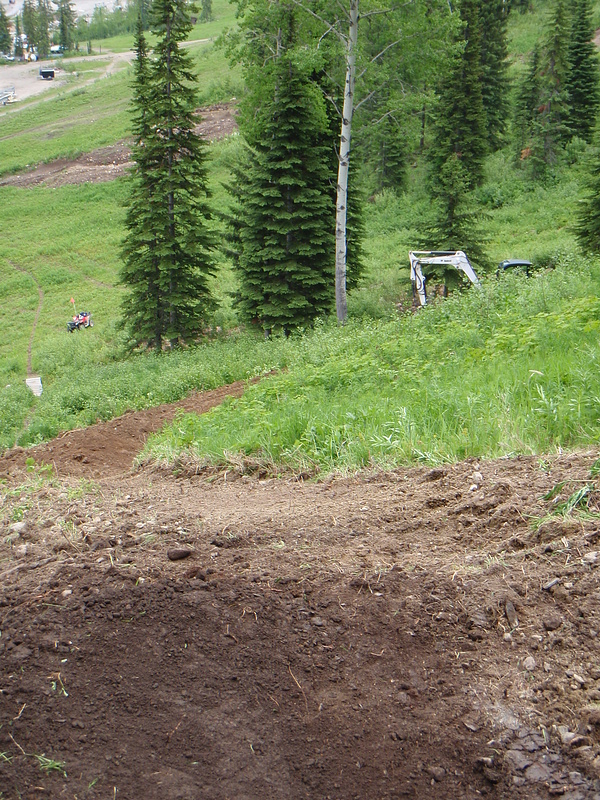 redirecting the bottom of Wild Rose at Kicking Horse. The old straight trail can be seen on the left.