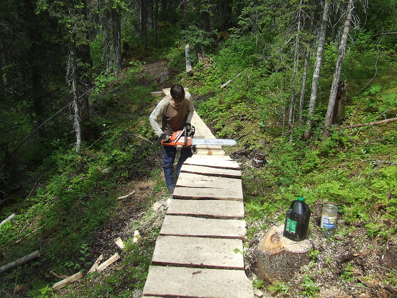 Working on a long ladder-bridge to get over a wet section and a small creek.