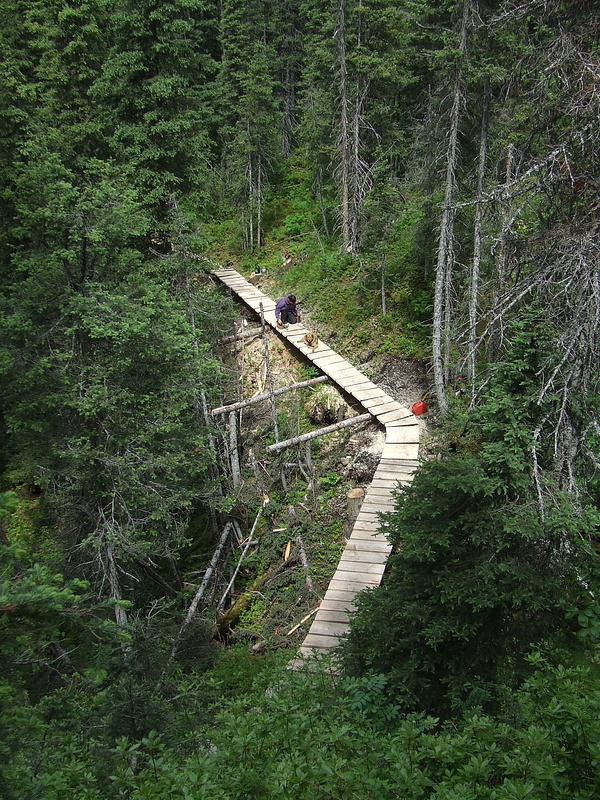 Working on a long ladder-bridge to get over a wet section and a small creek.