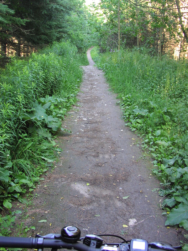 Forward view of the entrance trail.