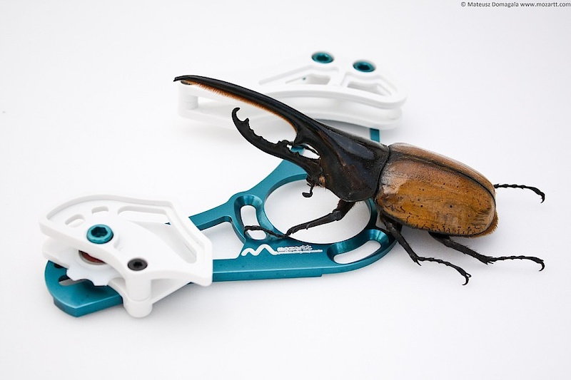 Inquisitive beetle looks at new chainguides. contact: mozart@badone.eu