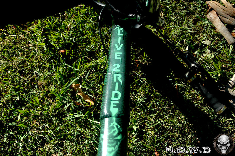 Very Custom 2007 Kona Stuff with MCG custom green snake skin Graphic design, Macmahone Randle wheel build. Early modal saint brakes, Deity Vendetta Crank set and Sprocket, FSA clear Bash Gaurd  Maxxis Holy Rollers for rubber, Guesset flat pedals, NPJ free ride saddle and 07 dirt jumper 3's soon to be Rox Shox Pikes