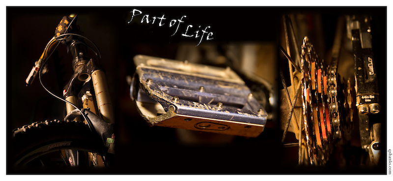 Part of Life