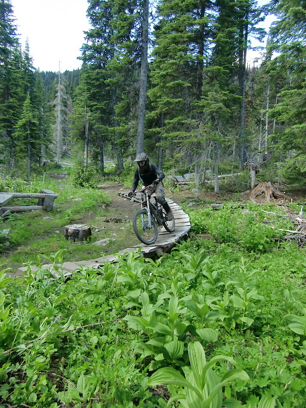 My first summer visit to Sun Peaks. Great park, props to the trailbuilders. Favourite trails: Route 66, Sugar, Steam Shovel