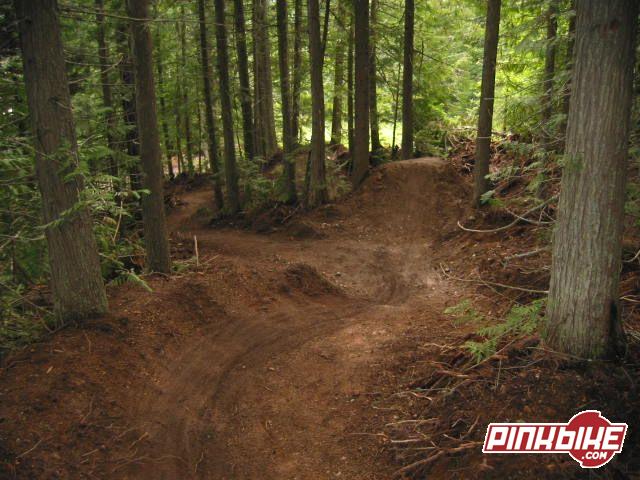 NEW TRAIL AT FAR, STARTS IN THE TREES WITH BANKED BERMS AND DIRT JUMPS, RIDE IT FAST