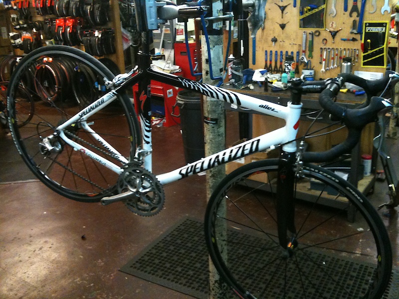 2004 specialized allez pro