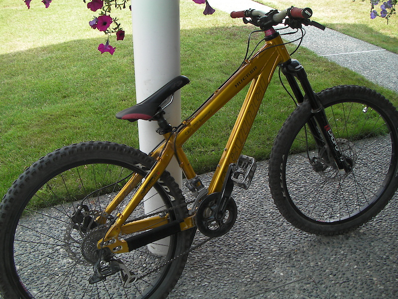 2008 Devinci ratiometric Hucker