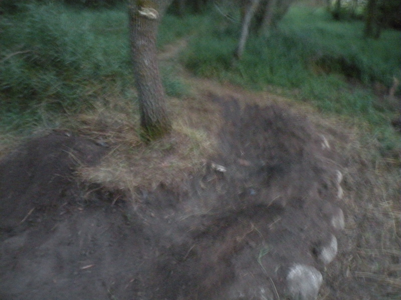 My berm and little jump (on the left)