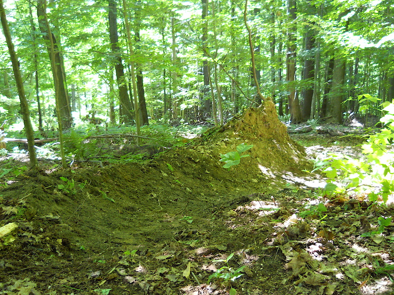 rough-in for a berm
