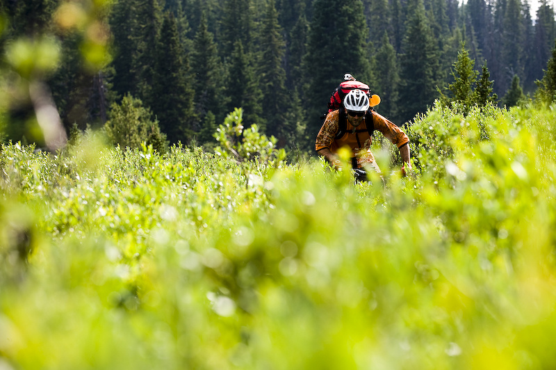 The problem with backcountry trails that rarely get ridden, is that if no one takes care of them, the plants will. Back to battling the bushes...