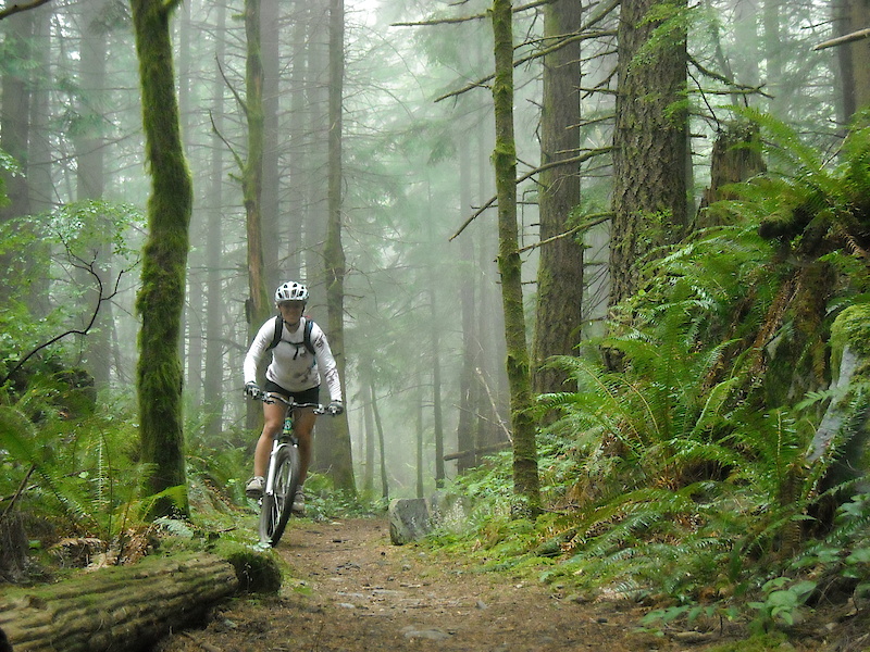 Oyster Dome Mountain Biking Trail Bellingham, WA