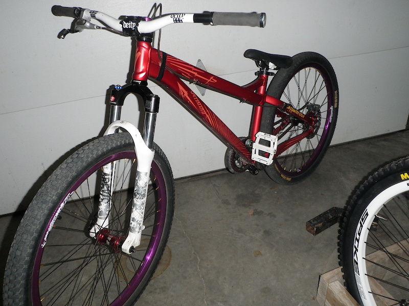 the hardtails build for 2010