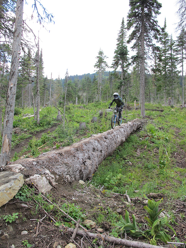 Log ride on Sugar.