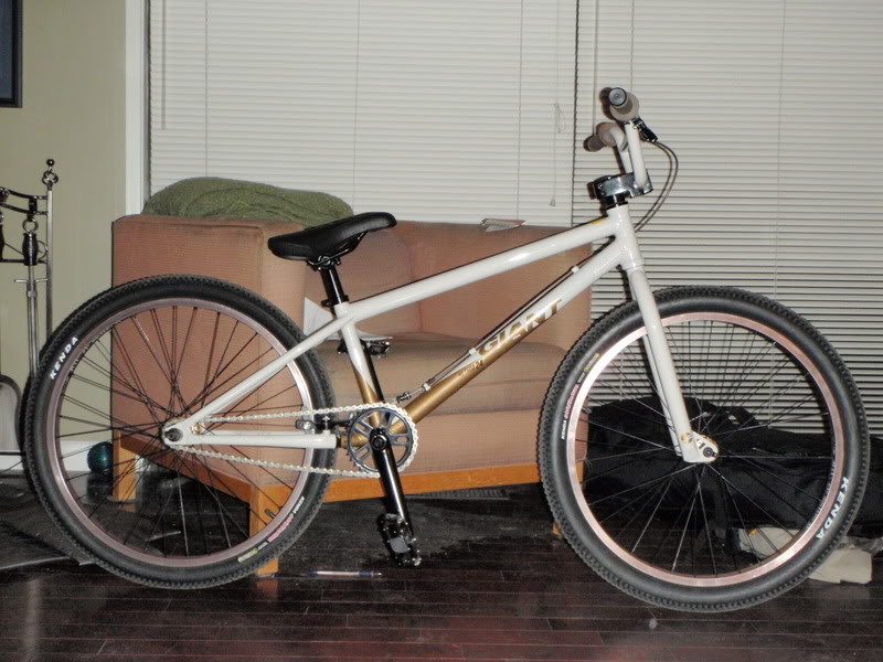 2009 Giant Method 24 For Sale