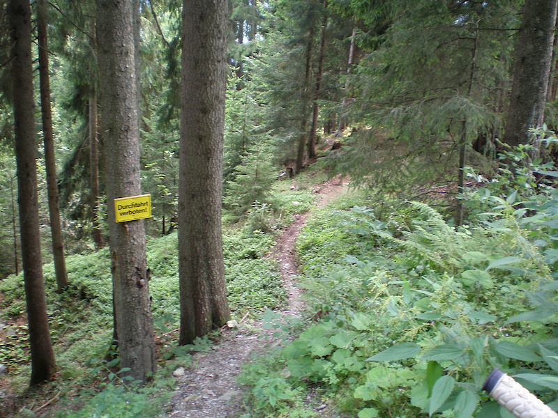 Downhilltrack at Hopfgarten made by Woodworx