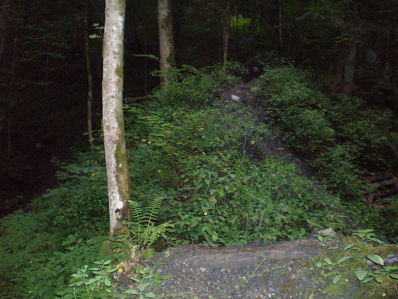 Downhilltrack at Hopfgarten made by Woodworx
