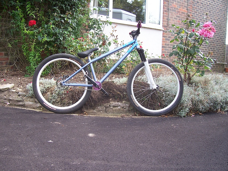 custom dirt jump bike