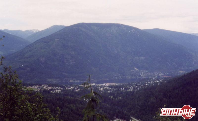 view of nelson from the top