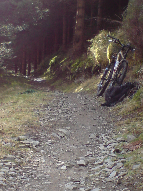 View about 3/4 of the way down Deliverance - the black descent at Glentress