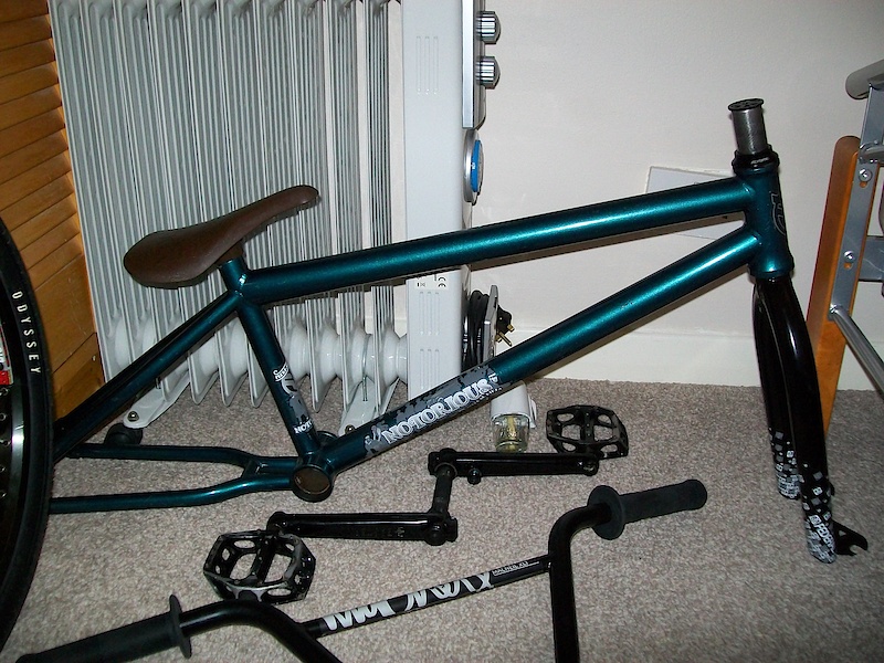 Frame: Federal Notorious 20.75