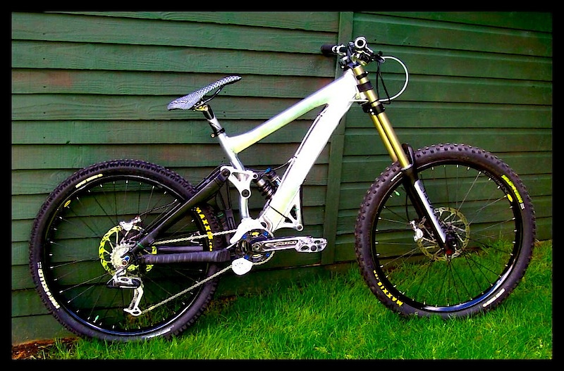 What A Poor Photo Of My Fresh New Glory DH !