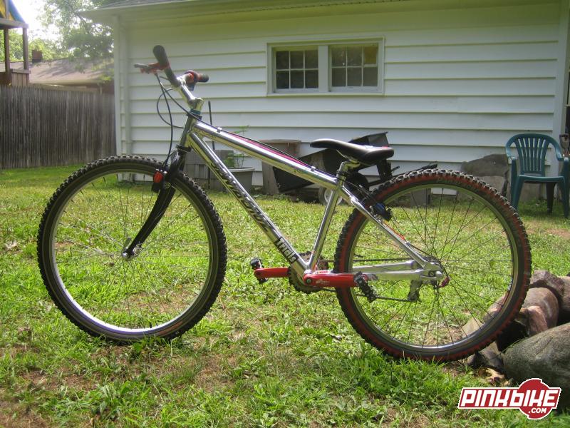 craigslist santa cruz chameleon