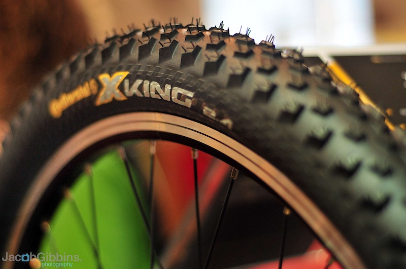 X-King. Pretty much as light as a hard and aggressive rider will want to go with a trail tyre in terms of tread (or lack of it). These are, like the Mountain King, a 2.4
