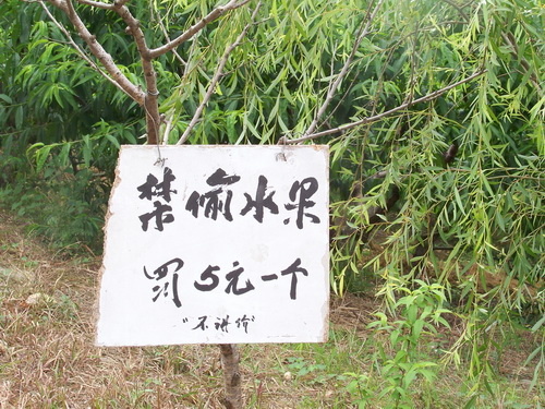 fruit picking without permission is forbidden