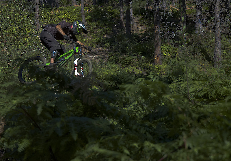 Boosting the mini-hip in the bracken. Photo by Jeremy Axelrod, Nikon D70
