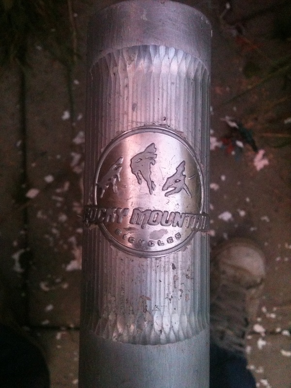 cool design on the headtube