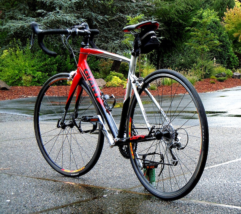2010 Giant Defy 1.
Just another shot.