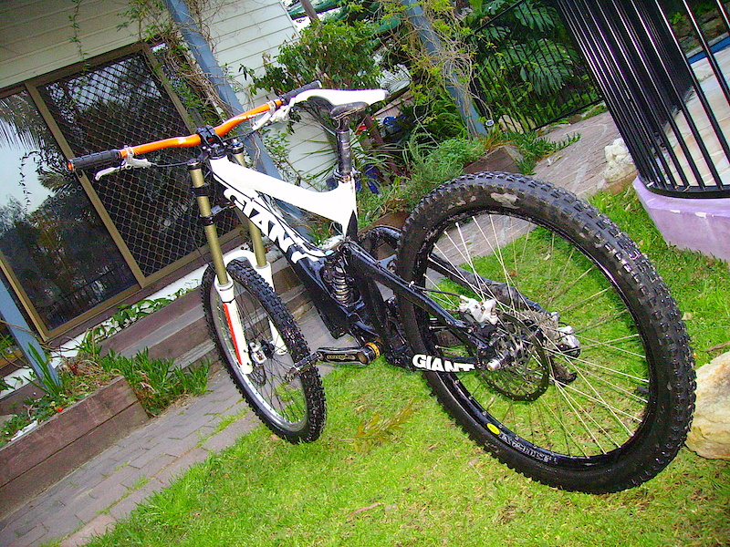 giant glory dh1 2009