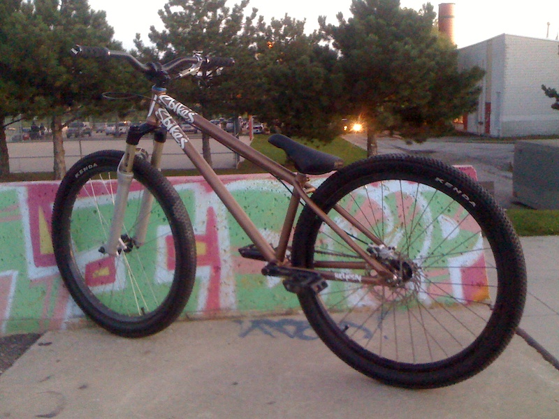 My new NS Majesty frame. The bike is no-where near completion, this is just how it sits right now.